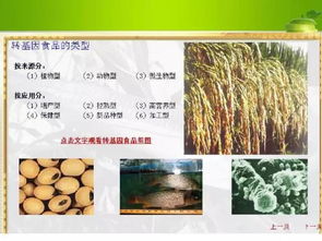 農(nóng)業(yè)部強(qiáng)化轉(zhuǎn)基因作物監(jiān)管，筑牢種子市場安全防線